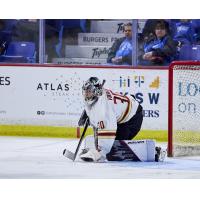 Vancouver Giants goaltender Jesper Vikman