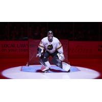 Vancouver Giants goaltender Jesper Vikman