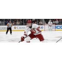 Forward Alex Laferriere with Harvard University