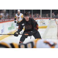 Lehigh Valley Phantoms' Ronnie Attard