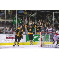 Maine Mariners react after a goal