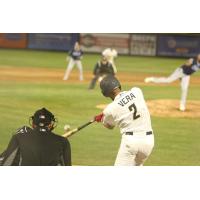 Tri-City Dust Devils shortstop Arol Vera at bat