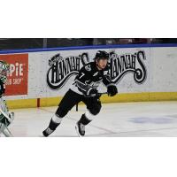 Idaho Steelheads defenseman Owen Headrick