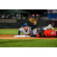 Somerset Patriots' T.J. Rumfield in action
