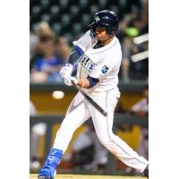 Columbia Fireflies' Lizandro Rodriguez at bat