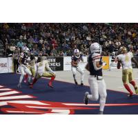 Sioux Falls Storm wide receiver Cole Thurness scores against the Quad City Steamwheelers