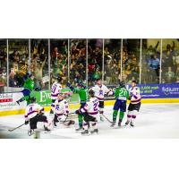 Maine Mariners celebrate a goal against the Reading Royals