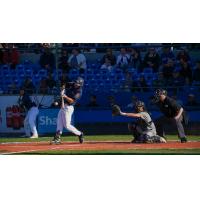 Victoria HarbourCats' Hudson Shupe at bat