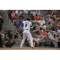 Fayetteville Woodpeckers' Ricardo Balogh at bat