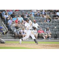 Fayetteville Woodpeckers' Sandro Gaston at bat