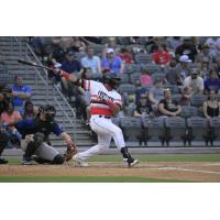 Fayetteville Woodpeckers' Dauri Lorenzo at bat