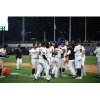 Fayetteville Woodpeckers celebrate win