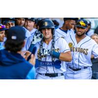 Charleston RiverDogs celebrate win