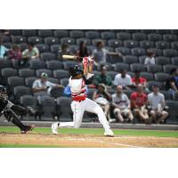 Fayetteville Woodpeckers at bat