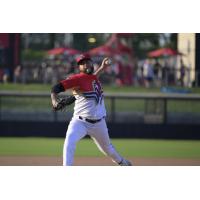 Fayetteville Woodpeckers pitcher Jose Guedez