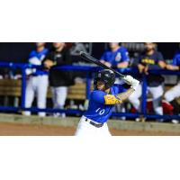 Biloxi Shuckers' Carlos Rodriguez at bat