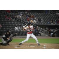 Fayetteville Woodpeckers at bat