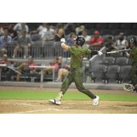 Fayetteville Woodpeckers' Cam Fisher at bat