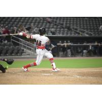 Luis Baez of the Fayetteville Woodpeckers