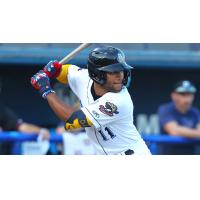 Biloxi Shuckers' Jackson Chourio at bat