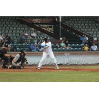 Evansville Otters at bat