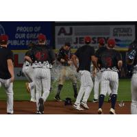 Somerset Patriots celebrate win