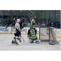 Jacksonville Icemen's Garrett Van Wyhe and Savannah Ghost Pirates' Jordan Papirny on the ice