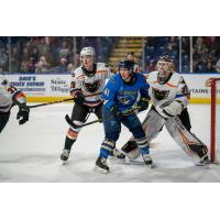 Springfield Thunderbirds battle the Lehigh Valley Phantoms