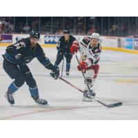 Cleveland Monsters' Cole Clayton battles Grand Rapids Griffins' Tyler Spezia