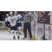 Toledo Walleye give fist bumps along the bench