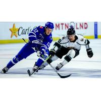 Wichita Thunder's Peter Bates and Utah Grizzlies' Mick Messner in action