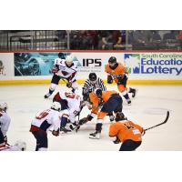 Greenville Swamp Rabbits battle the South Carolina Stingrays