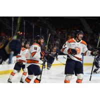 Greenville Swamp Rabbits celebrate a goal