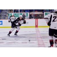 Vancouver Giants defenceman Colton Roberts