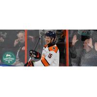 Greenville Swamp Rabbits forward Nikita Pavlychev