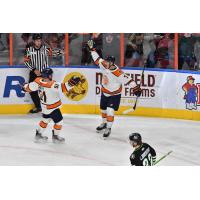 Greenville Swamp Rabbits celebrate a goal