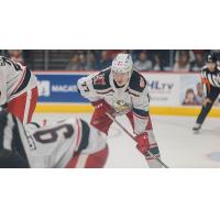 Grand Rapids Griffins defenseman Simon Edvinsson