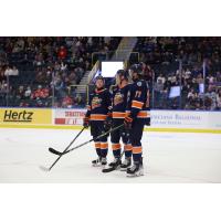 Greenville Swamp Rabbits on the ice