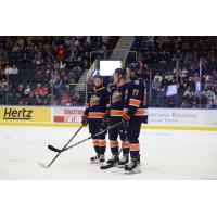 Greenville Swamp Rabbits line up