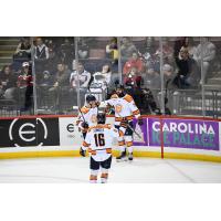 Greenville Swamp Rabbits exchange congratulations after a goal