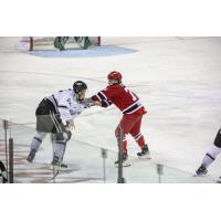 Idaho Steelheads' Lincoln Erne battles Rapid City Rush's Brandon Yeamans