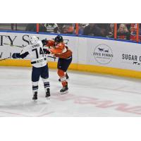 Jacksonville Icemen's Jerry D'Amigo battles Greenville Swamp Rabbits' Jordan Timmons