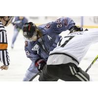 Rapid City Rush's Logan Nelson versus Idaho Steelheads' Ty Pelton-Byce