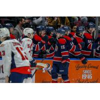 Saginaw Spirit exchange congratulations along the bench