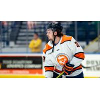 Greenville Swamp Rabbits forward Brannon McManus