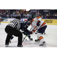Greenville Swamp Rabbits forward Josh McKechney in the faceoff circle