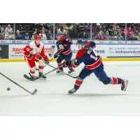 Saginaw Spirit's Joey Willis in action