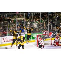 Maine Mariners celebrate a goal