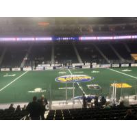 A look at the Georgia Swarm's field