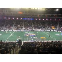 A look at the action as the Georgia Swarm take on the Vancouver Warriors